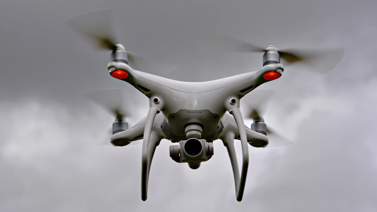 pork chops with cream sauce