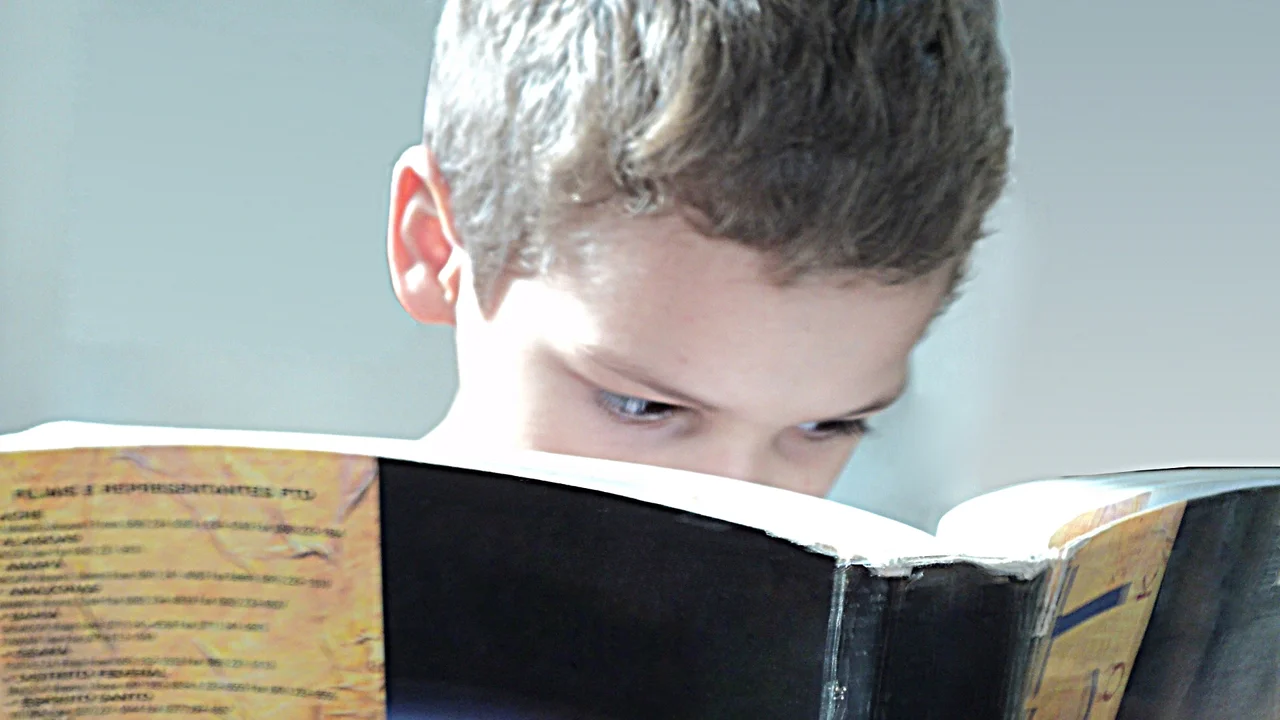 Two mint chocolate milkshakes with whipped cream and green sprinkles.