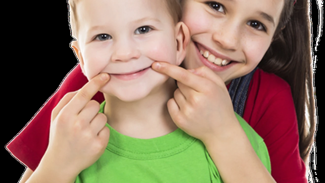 pork chops with cream sauce